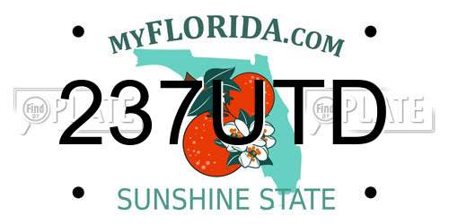 237UTD Florida License Plate