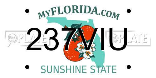 237VIU Florida License Plate