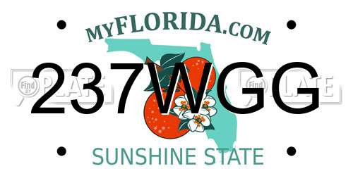 237WGG Florida License Plate