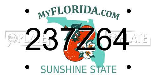 237Z64 Florida License Plate