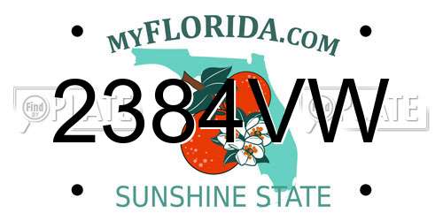 2384VW Florida License Plate