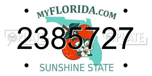2385727 Florida License Plate