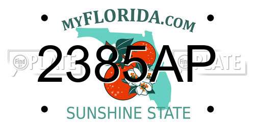 2385AP Florida License Plate