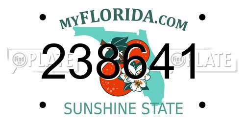 238641 Florida License Plate