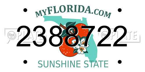 2388722 Florida License Plate