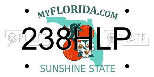 238HLP Florida License Plate