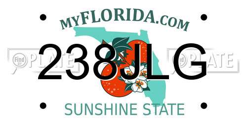 238JLG Florida License Plate