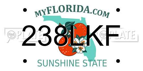 238LKF Florida License Plate