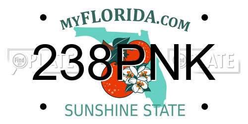 238PNK Florida License Plate