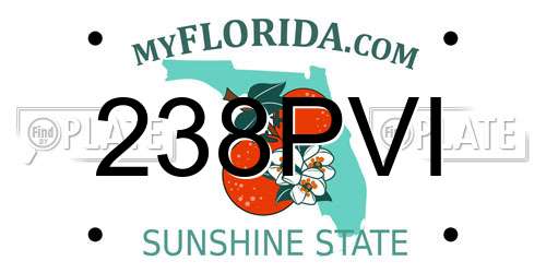 238PVI Florida License Plate