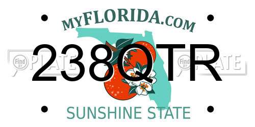 238QTR Florida License Plate
