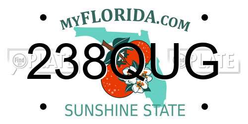 238QUG Florida License Plate