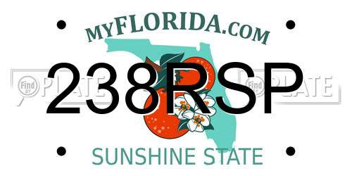 238RSP Florida License Plate