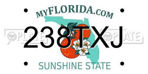 238TXJ Florida License Plate