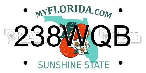 238WQB Florida License Plate