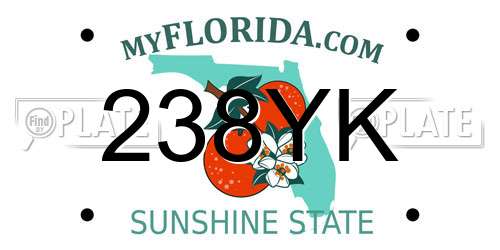 238YK Florida License Plate