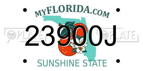 23900J Florida License Plate