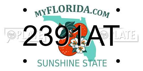 2391AT Florida License Plate