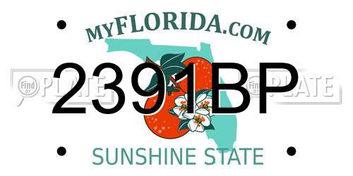 2391BP Florida License Plate