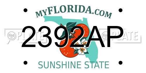 2392AP Florida License Plate
