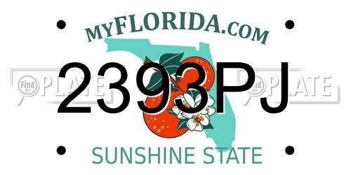 2393PJ Florida License Plate