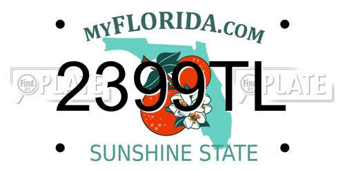 2399TL Florida License Plate