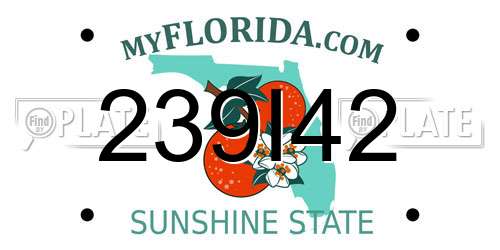239I42 Florida License Plate