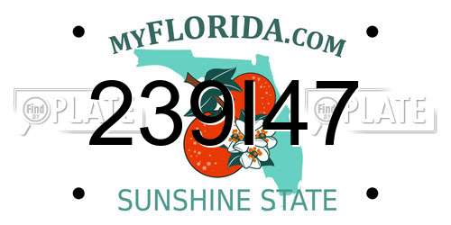 239I47 Florida License Plate