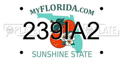 239IA2 Florida License Plate