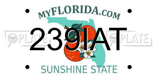 239IAT Florida License Plate