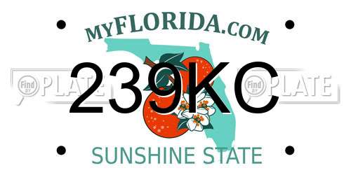 239KC Florida License Plate