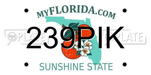 239PIK Florida License Plate