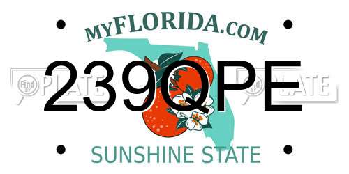 239QPE Florida License Plate