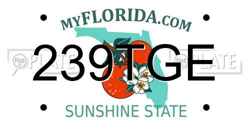 239TGE Florida License Plate