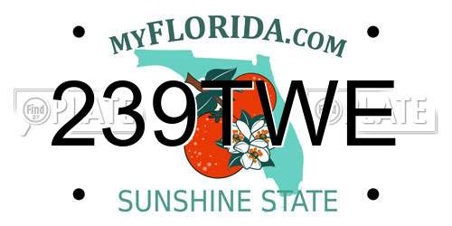 239TWE Florida License Plate