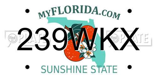239WKX Florida License Plate