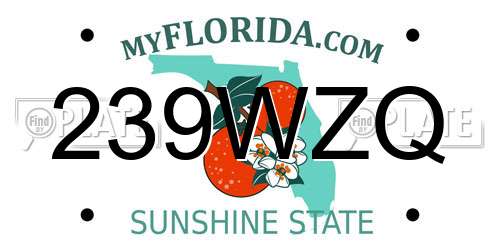 239WZQ Florida License Plate