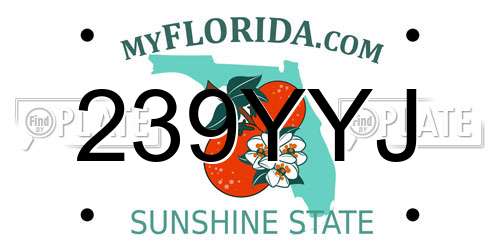 239YYJ Florida License Plate