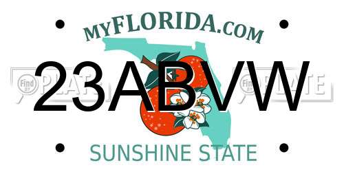 23ABVW Florida License Plate