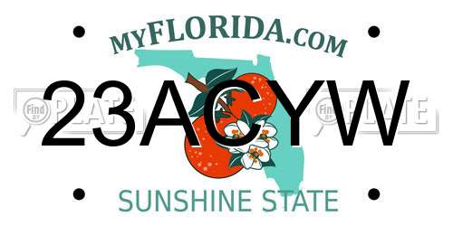 23ACYW Florida License Plate