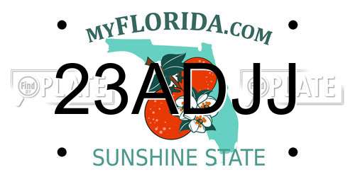 23ADJJ Florida License Plate