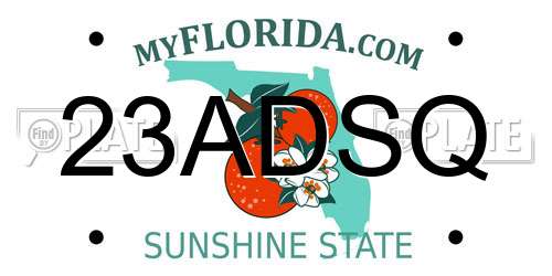23ADSQ Florida License Plate