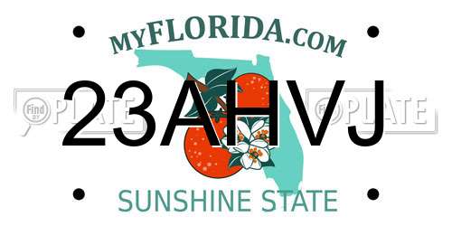 23AHVJ Florida License Plate
