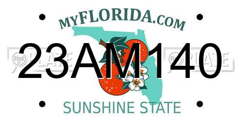 23AM140 Florida License Plate