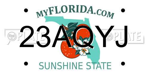 23AQYJ Florida License Plate