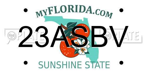 23ASBV Florida License Plate