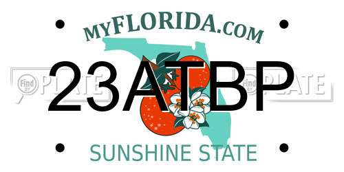 23ATBP Florida License Plate