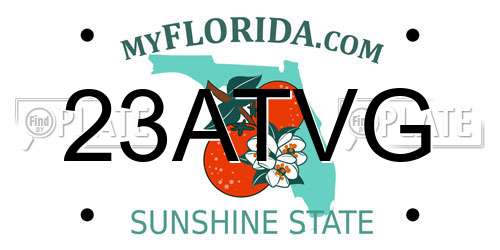 23ATVG Florida License Plate