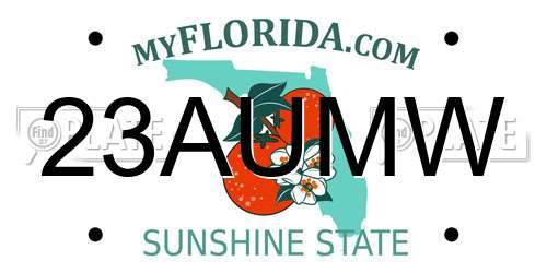 23AUMW Florida License Plate