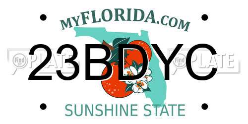 23BDYC Florida License Plate